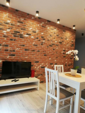 Apartament Centrum Więckowskiego